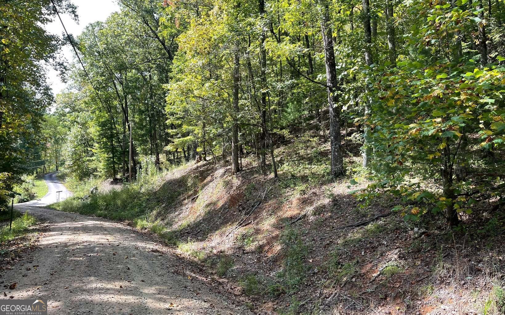 Lot 31 Nelson Ridge Property Photo 7