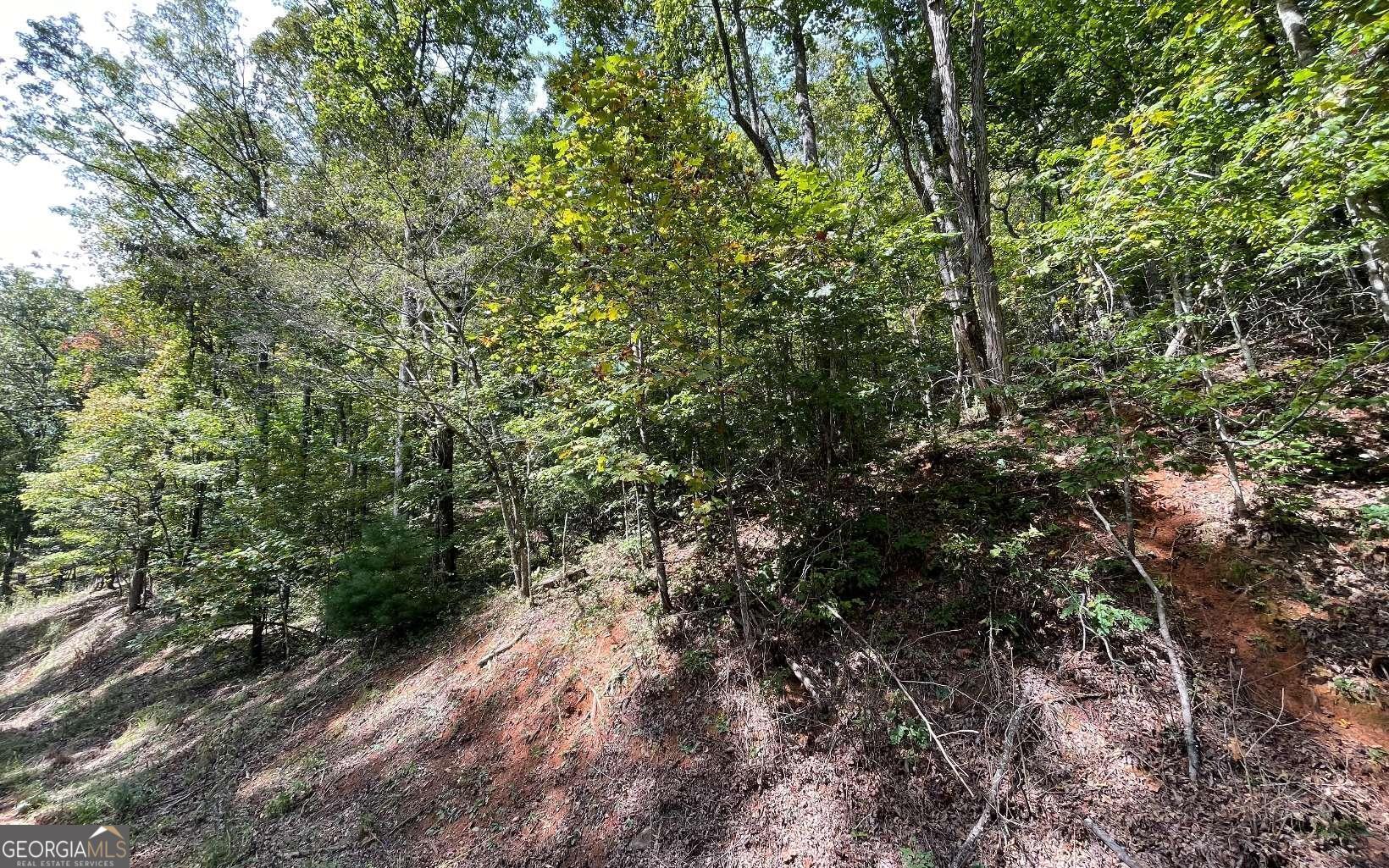 Lot 31 Nelson Ridge Property Photo 8