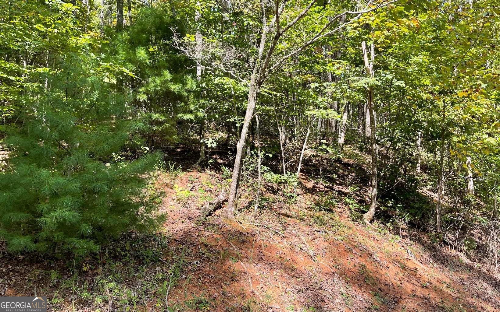 Lot 31 Nelson Ridge Property Photo 9