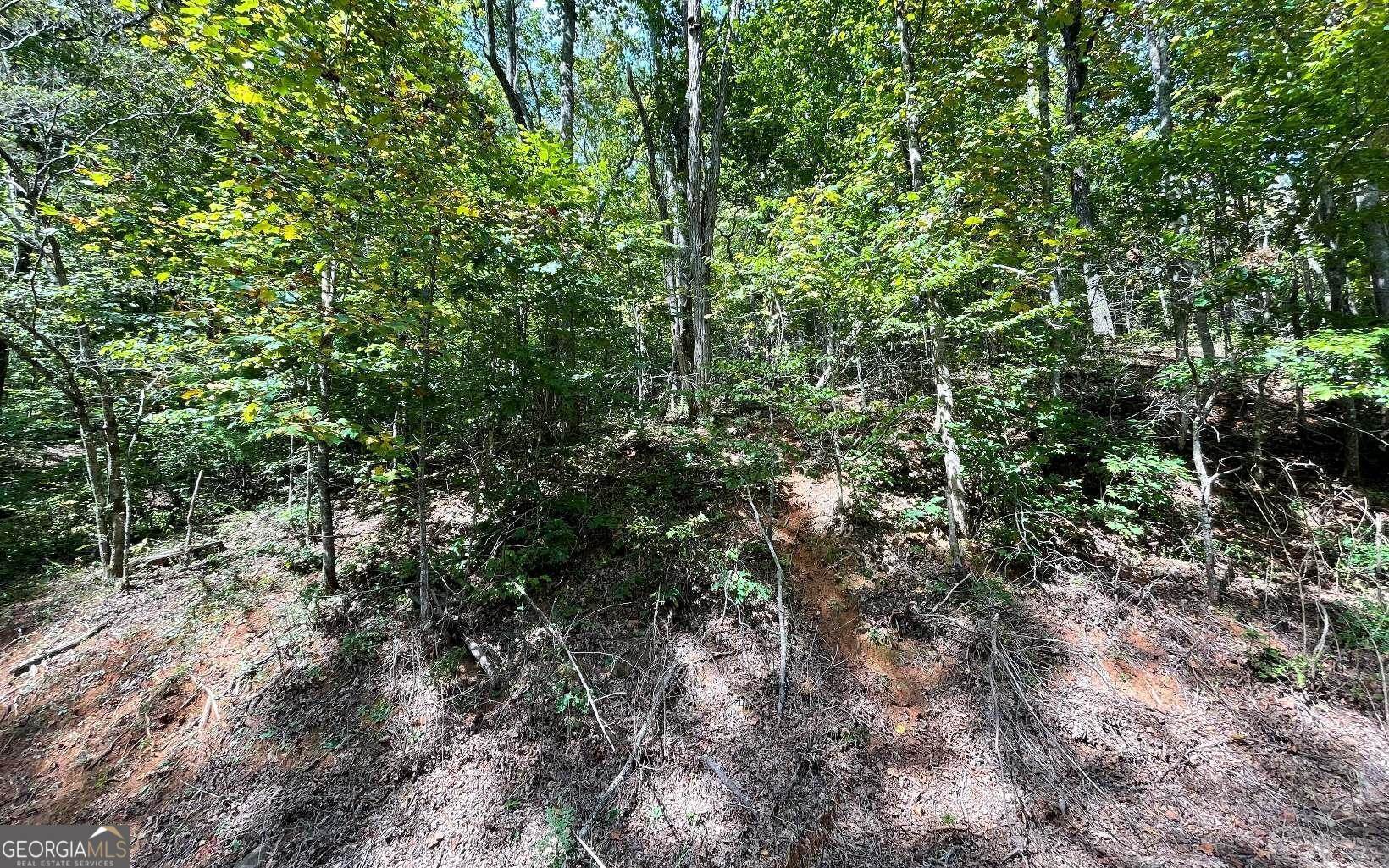 Lot 31 Nelson Ridge Property Photo 10
