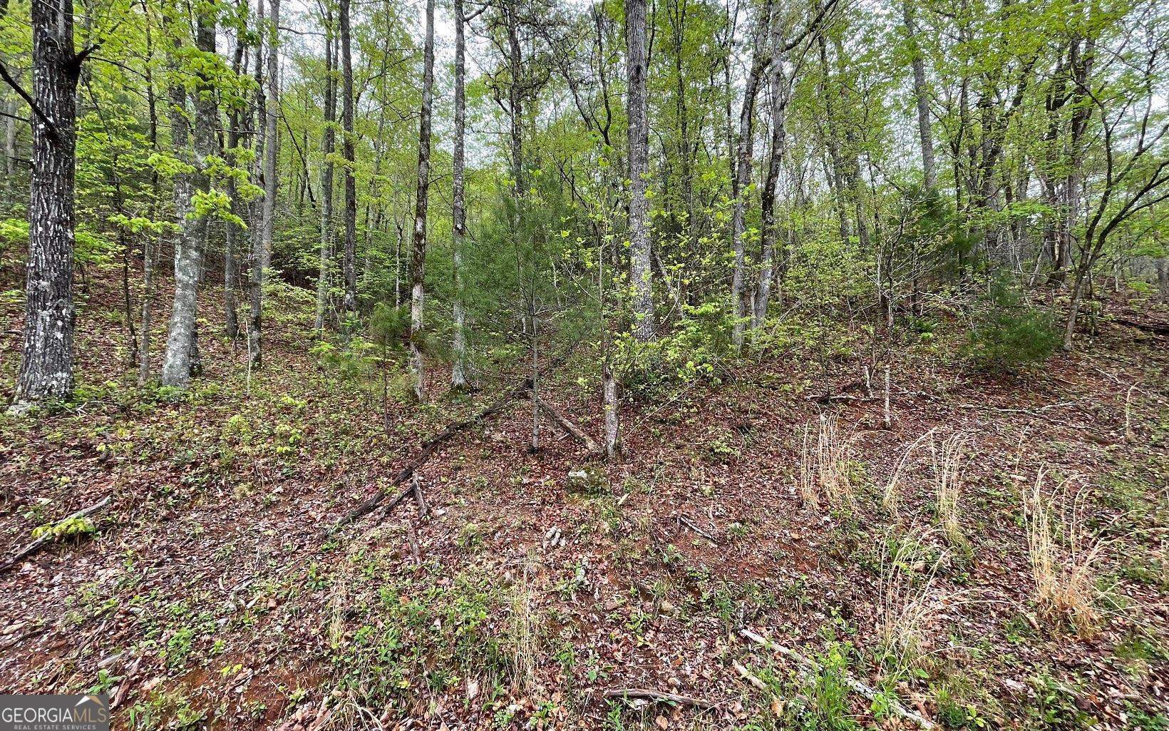 Lot 31 Nelson Ridge Property Photo 11