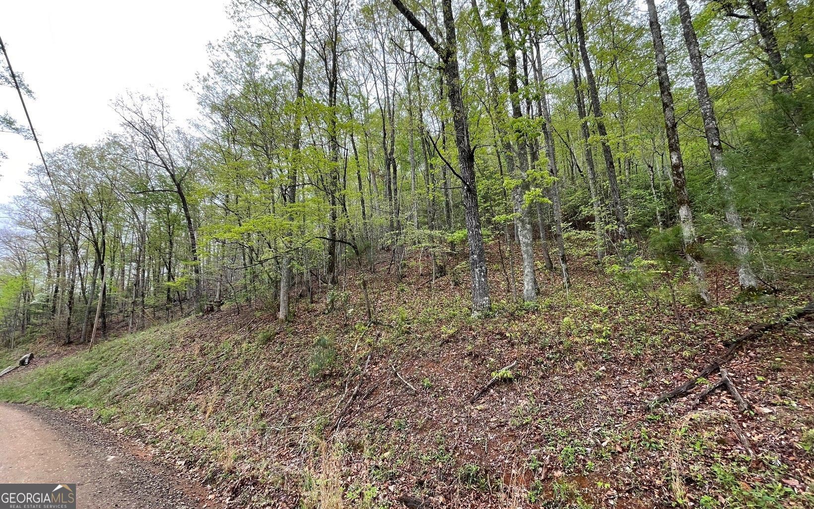 Lot 31 Nelson Ridge Property Photo 12