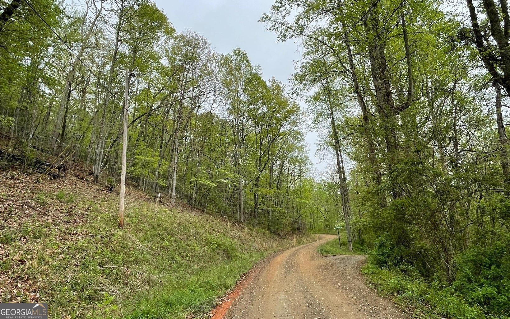 Lot 31 Nelson Ridge Property Photo 13
