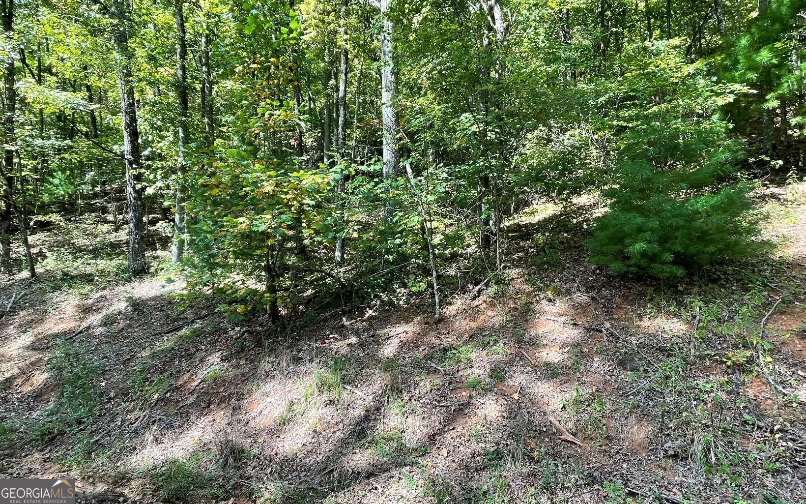 Lot 31 Nelson Ridge Property Photo 14