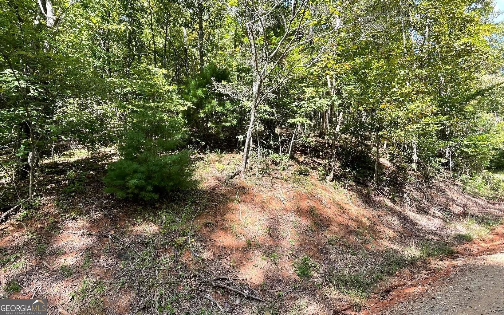Lot 31 Nelson Ridge Property Photo 15