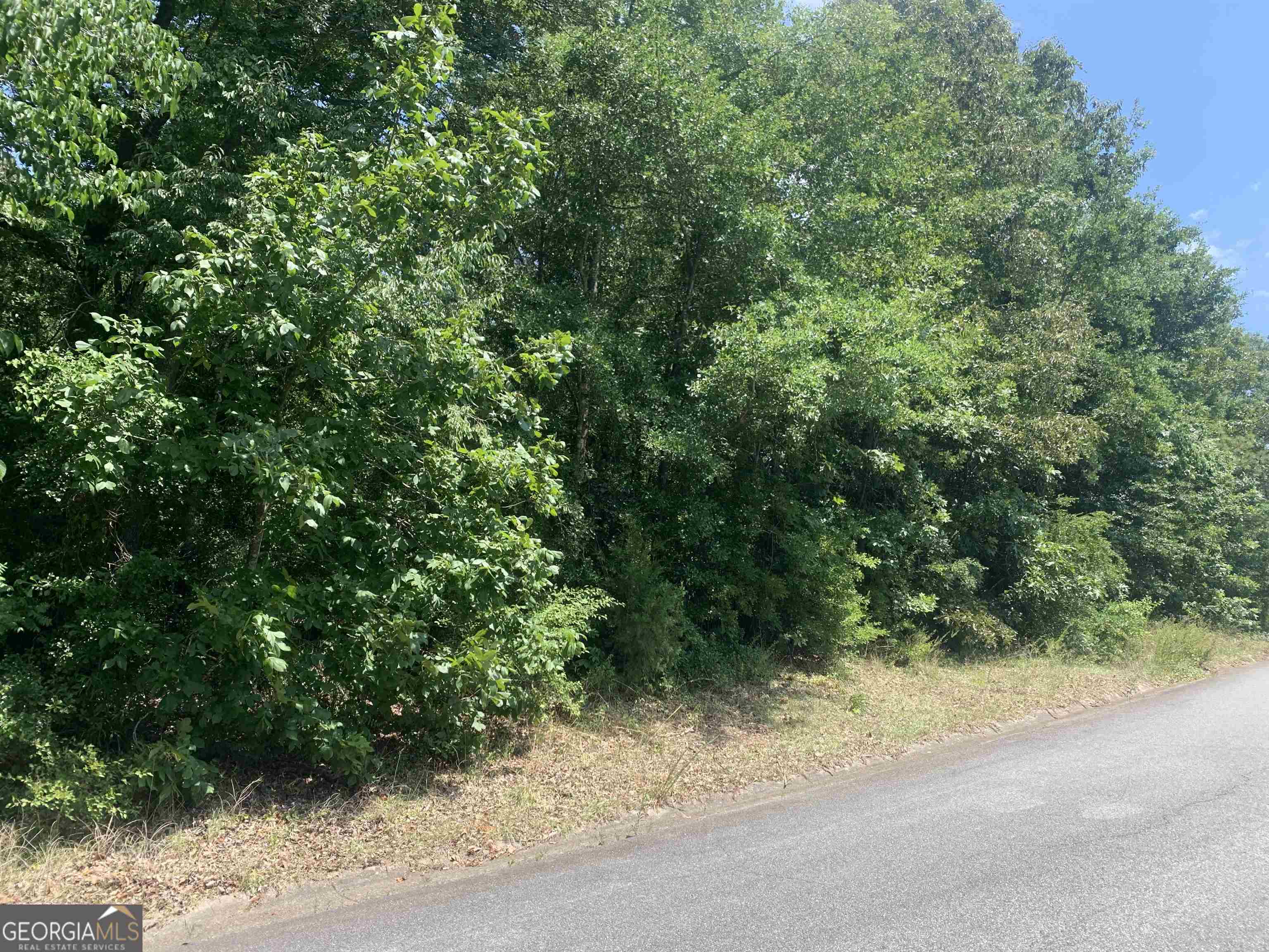 217 Blue Ridge Lane Property Photo 1