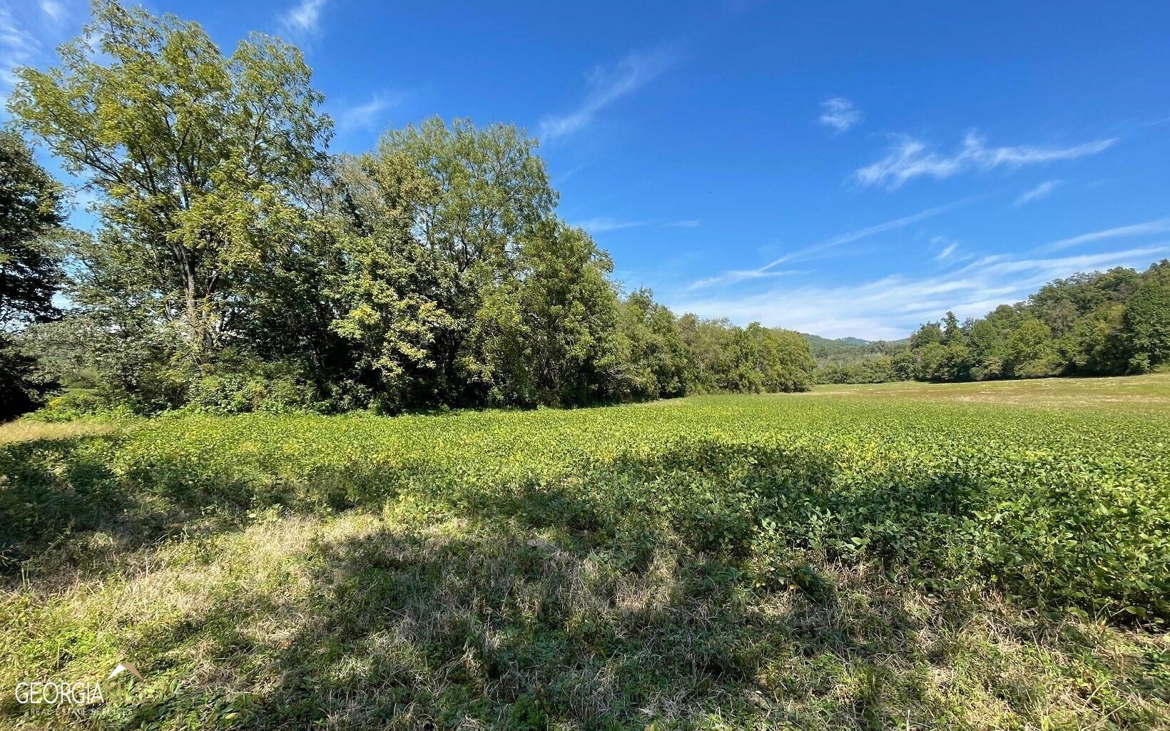 37+ Acres Jarrett Road Property Photo 1