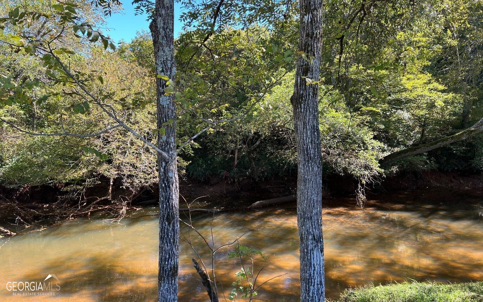 37+ Acres Jarrett Road Property Photo 4