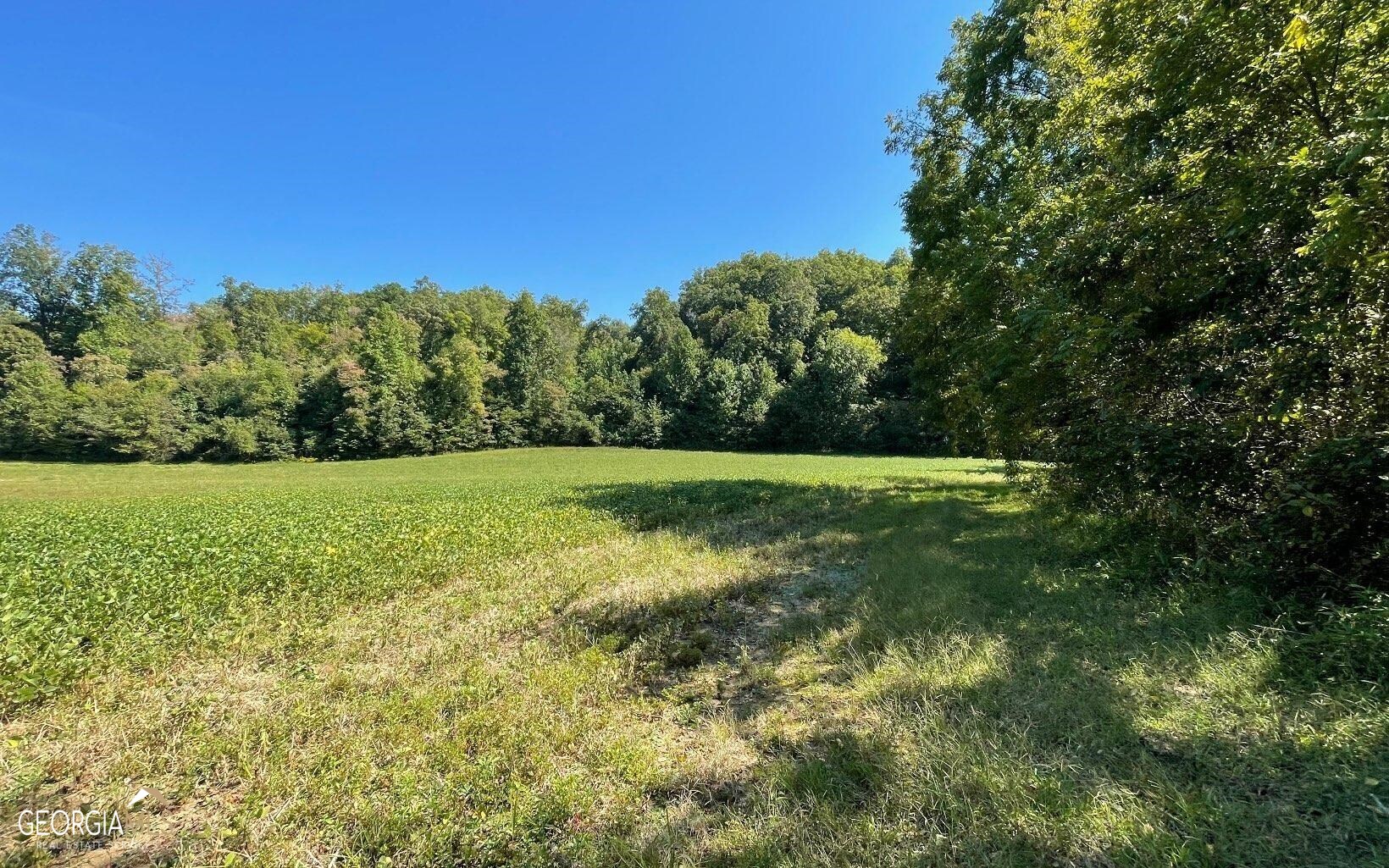 37+ Acres Jarrett Road Property Photo 5