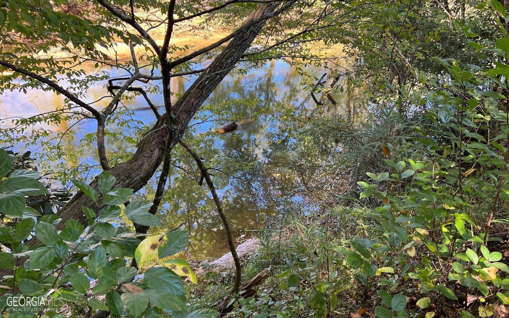 37+ Acres Jarrett Road Property Photo 6
