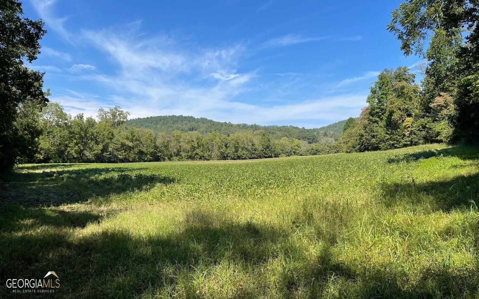 37+ Acres Jarrett Road Property Photo 8