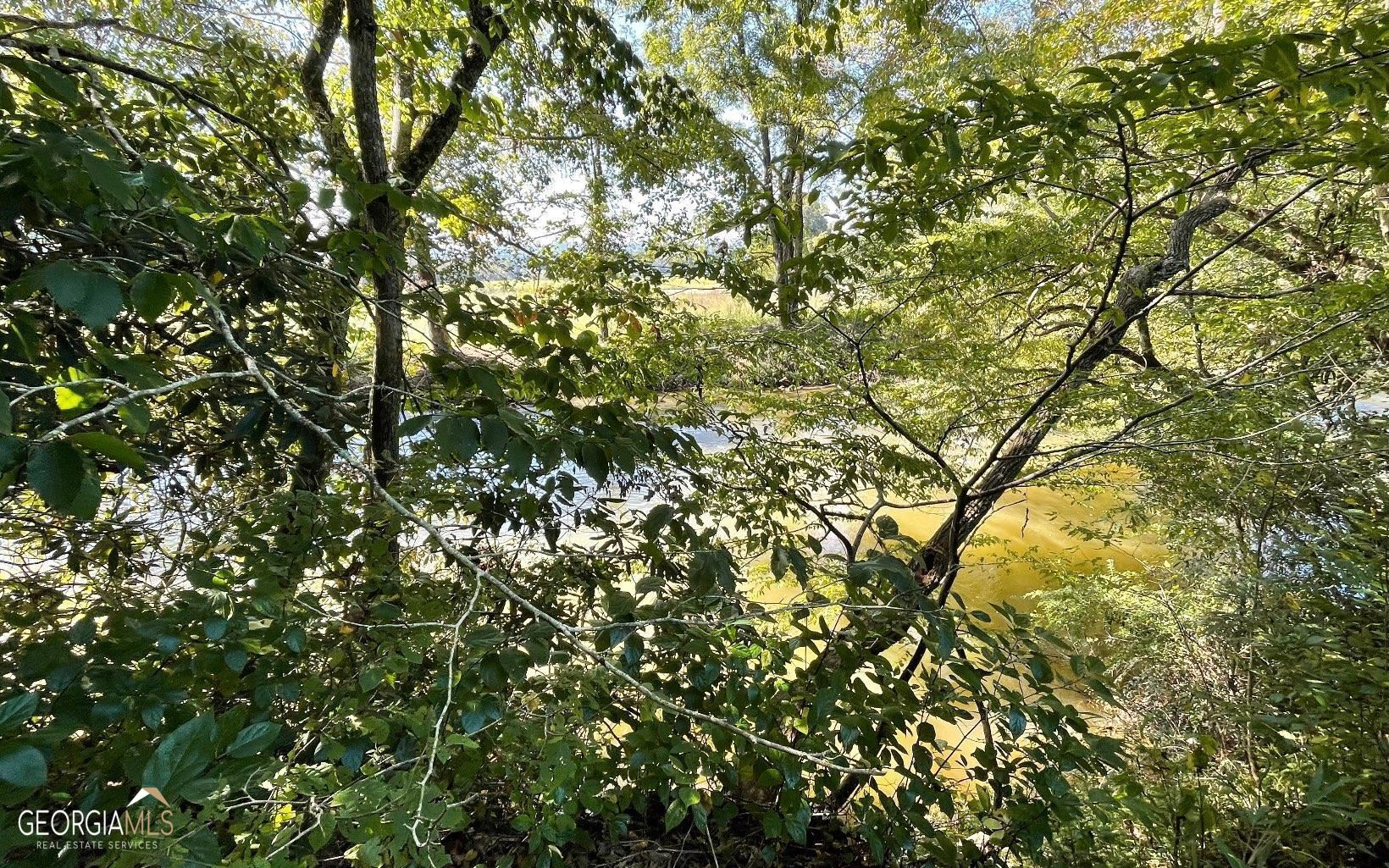 37+ Acres Jarrett Road Property Photo 9