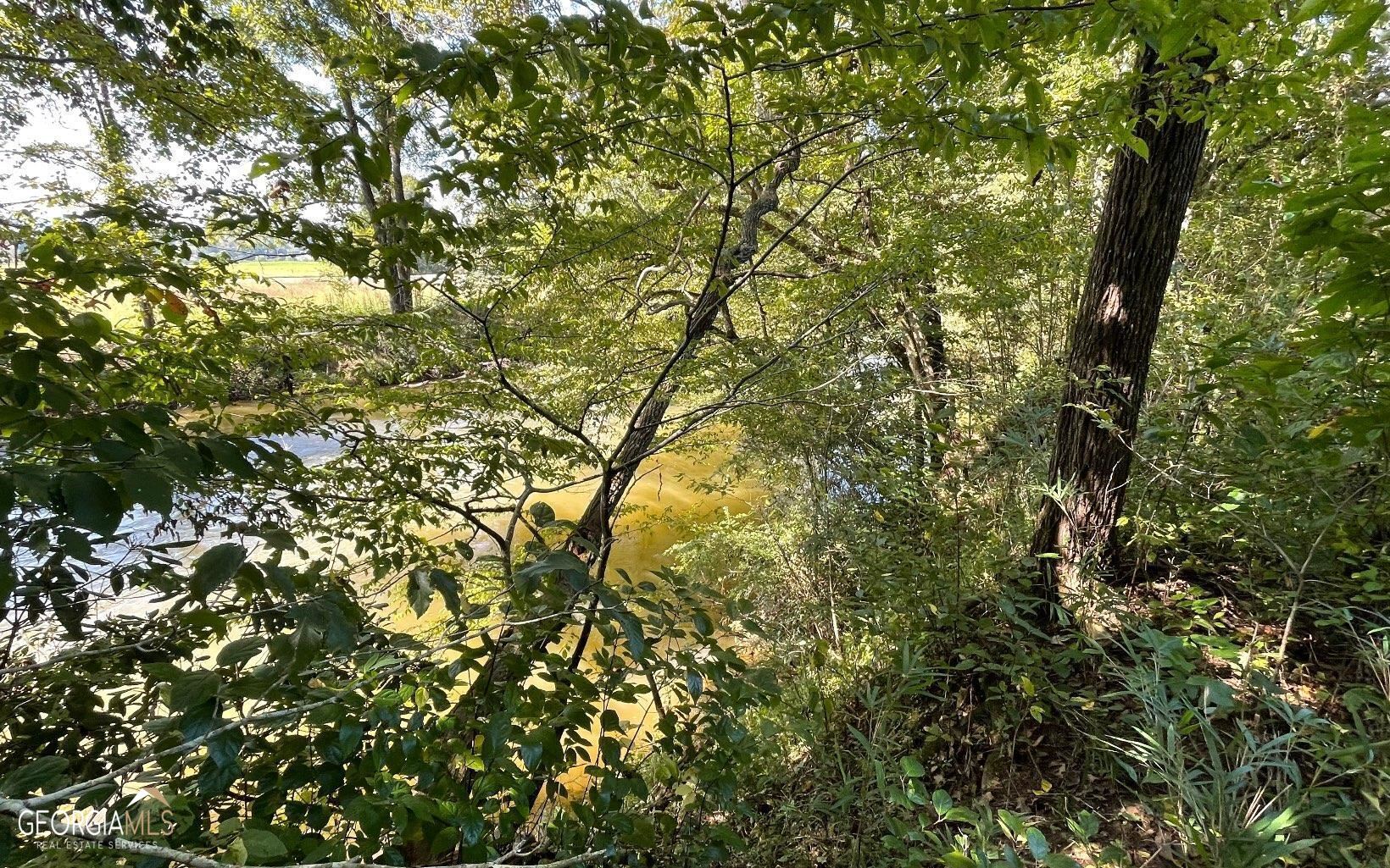 37+ Acres Jarrett Road Property Photo 10