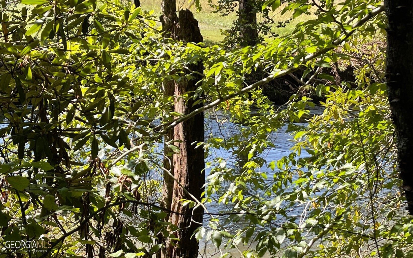 37+ Acres Jarrett Road Property Photo 11