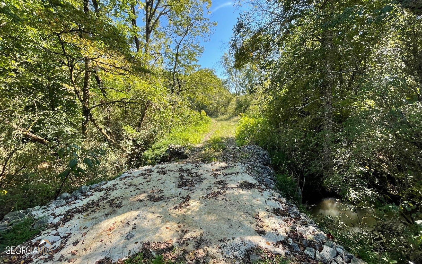 37+ Acres Jarrett Road Property Photo 12