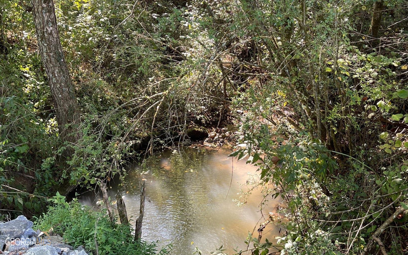 37+ Acres Jarrett Road Property Photo 13