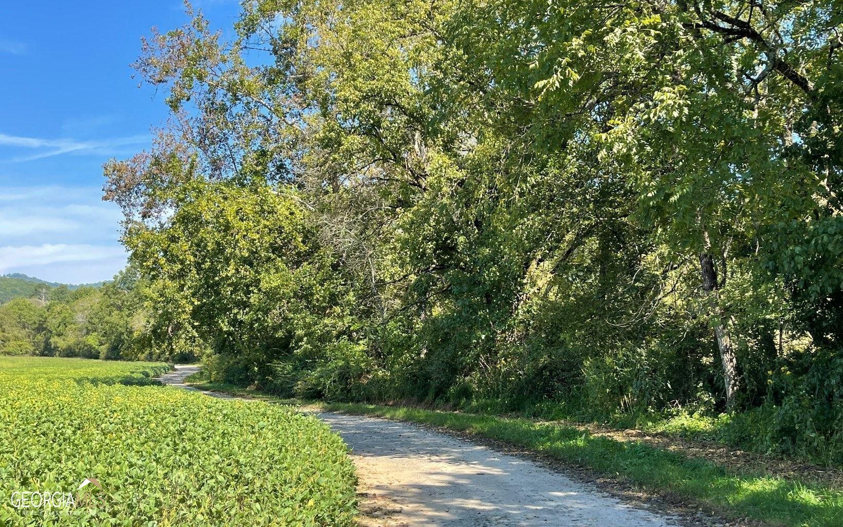 37+ Acres Jarrett Road Property Photo 14
