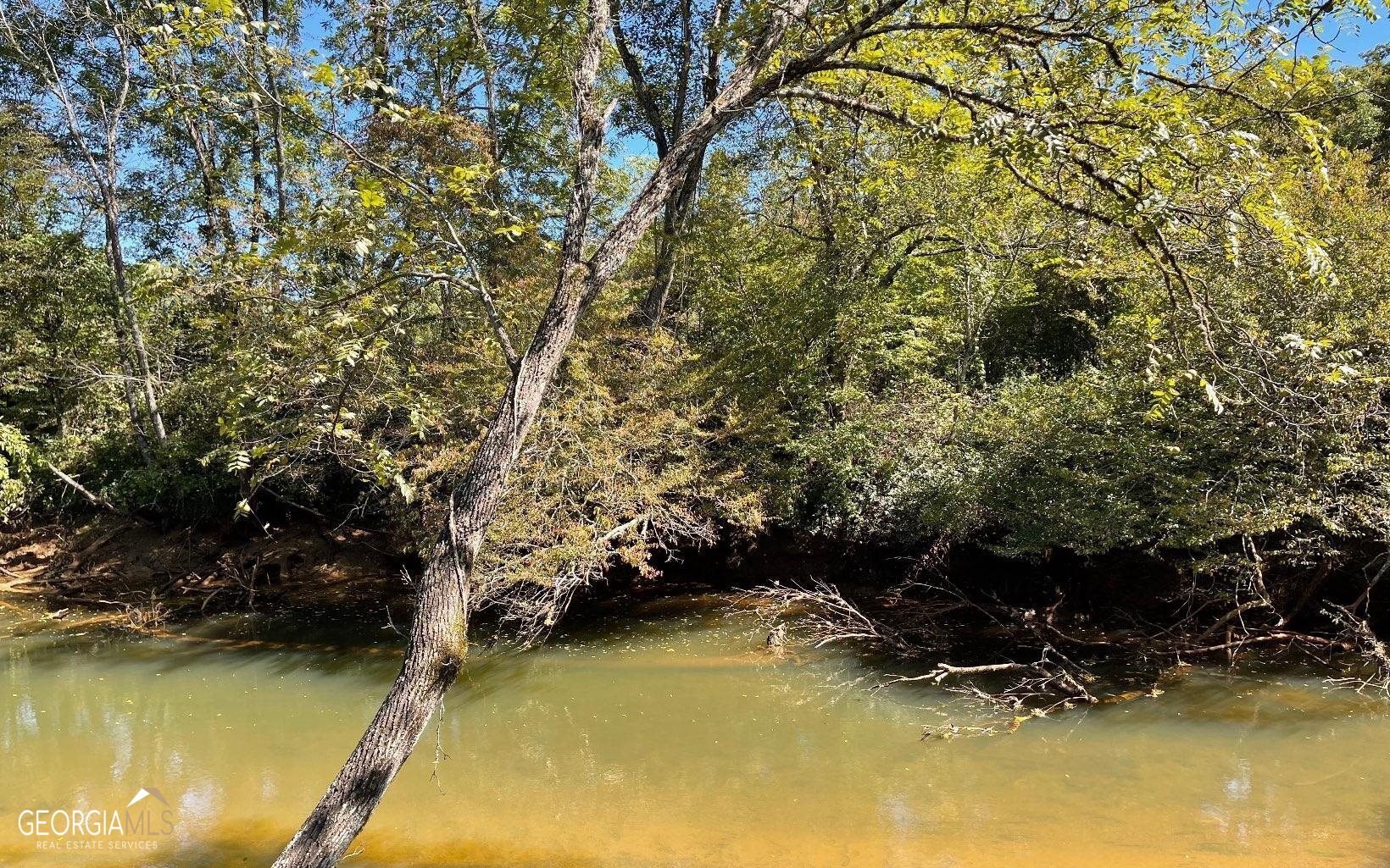 37+ Acres Jarrett Road Property Photo 17