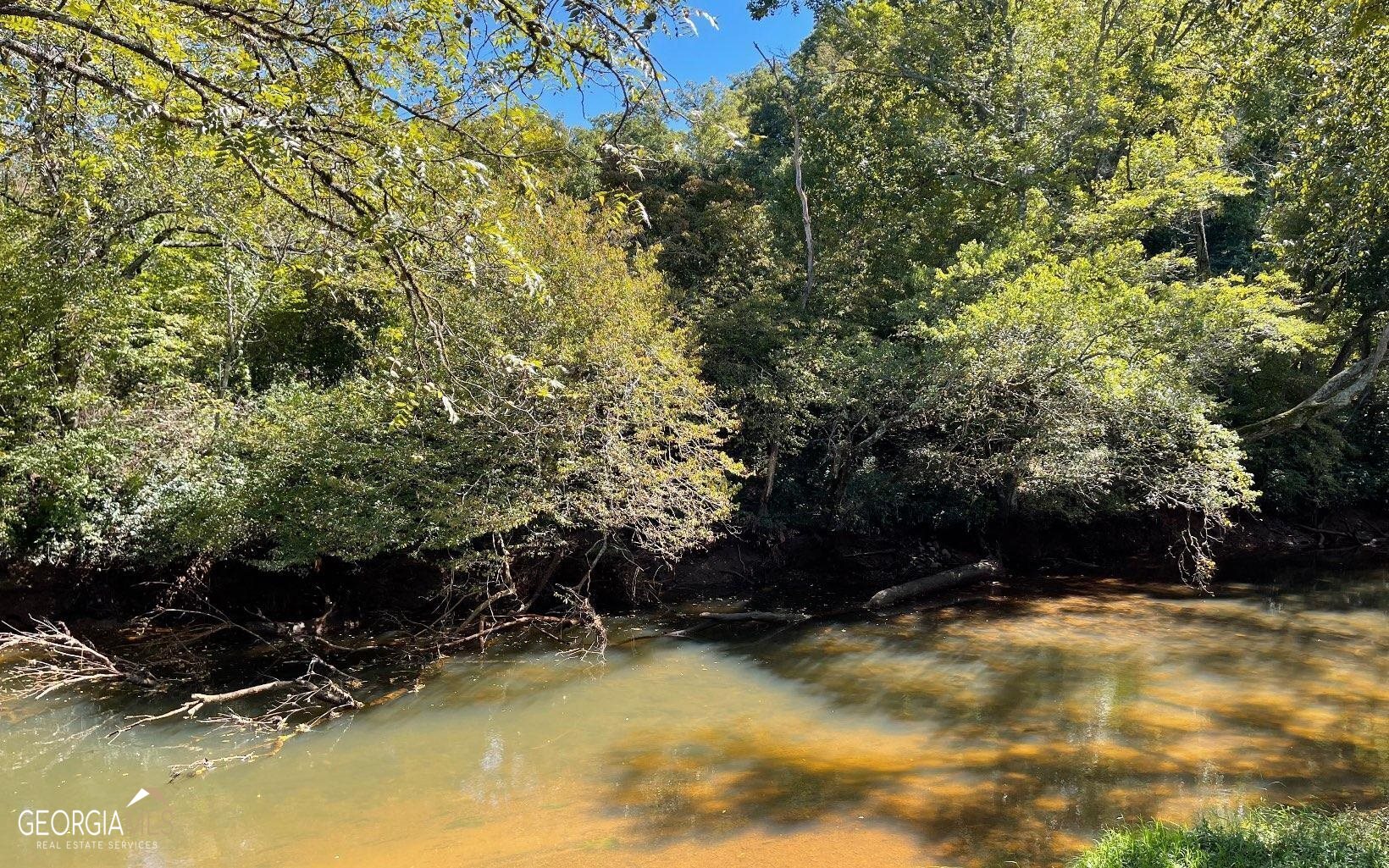 37+ Acres Jarrett Road Property Photo 18