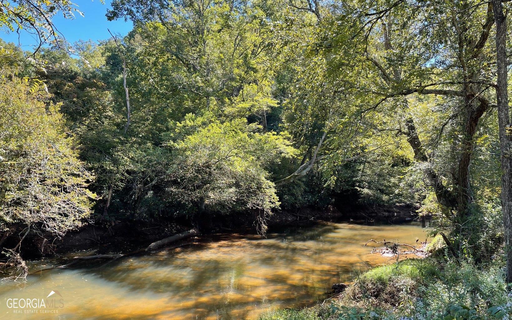 37+ Acres Jarrett Road Property Photo 19