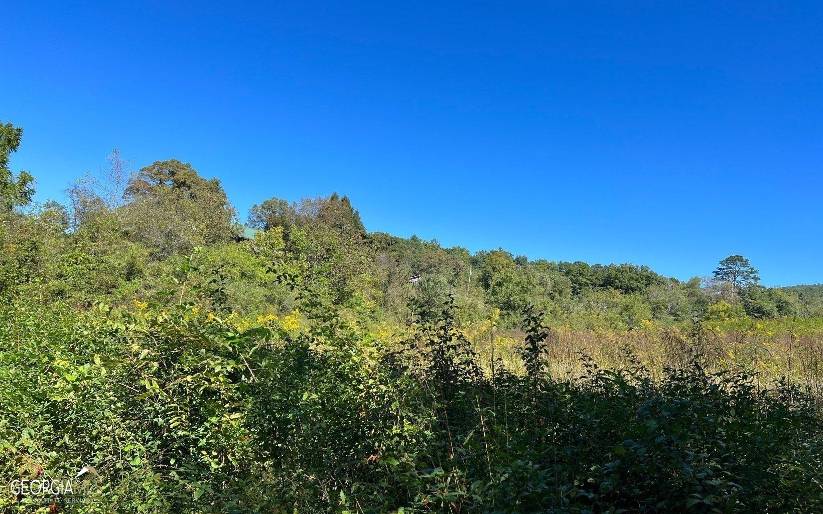 37+ Acres Jarrett Road Property Photo 20