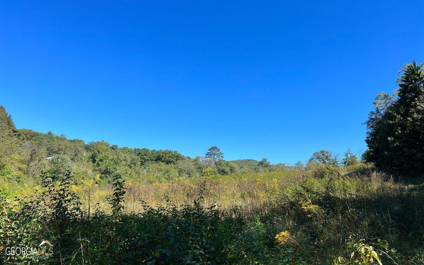 37+ Acres Jarrett Road Property Photo 21