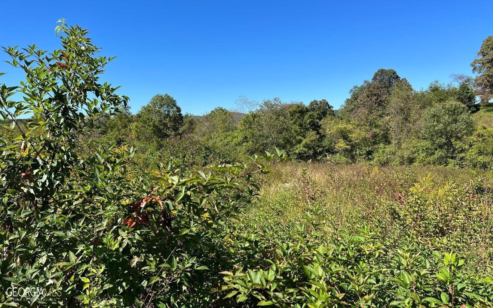 37+ Acres Jarrett Road Property Photo 25