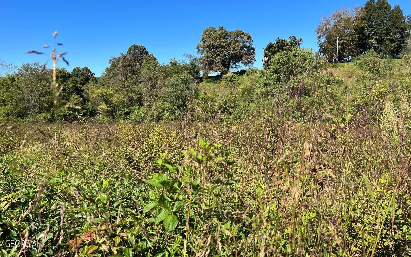 37+ Acres Jarrett Road Property Photo 26