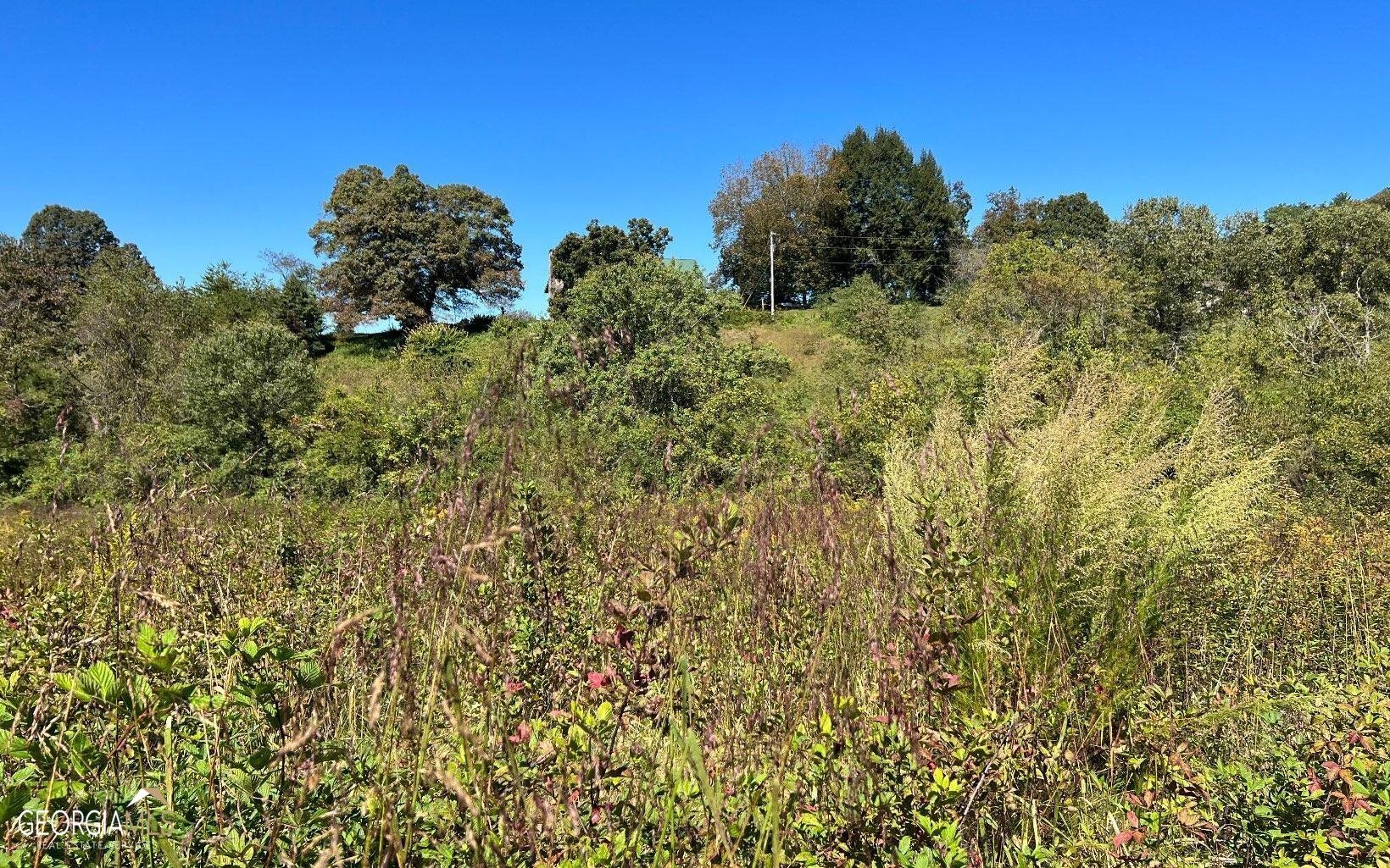 37+ Acres Jarrett Road Property Photo 27