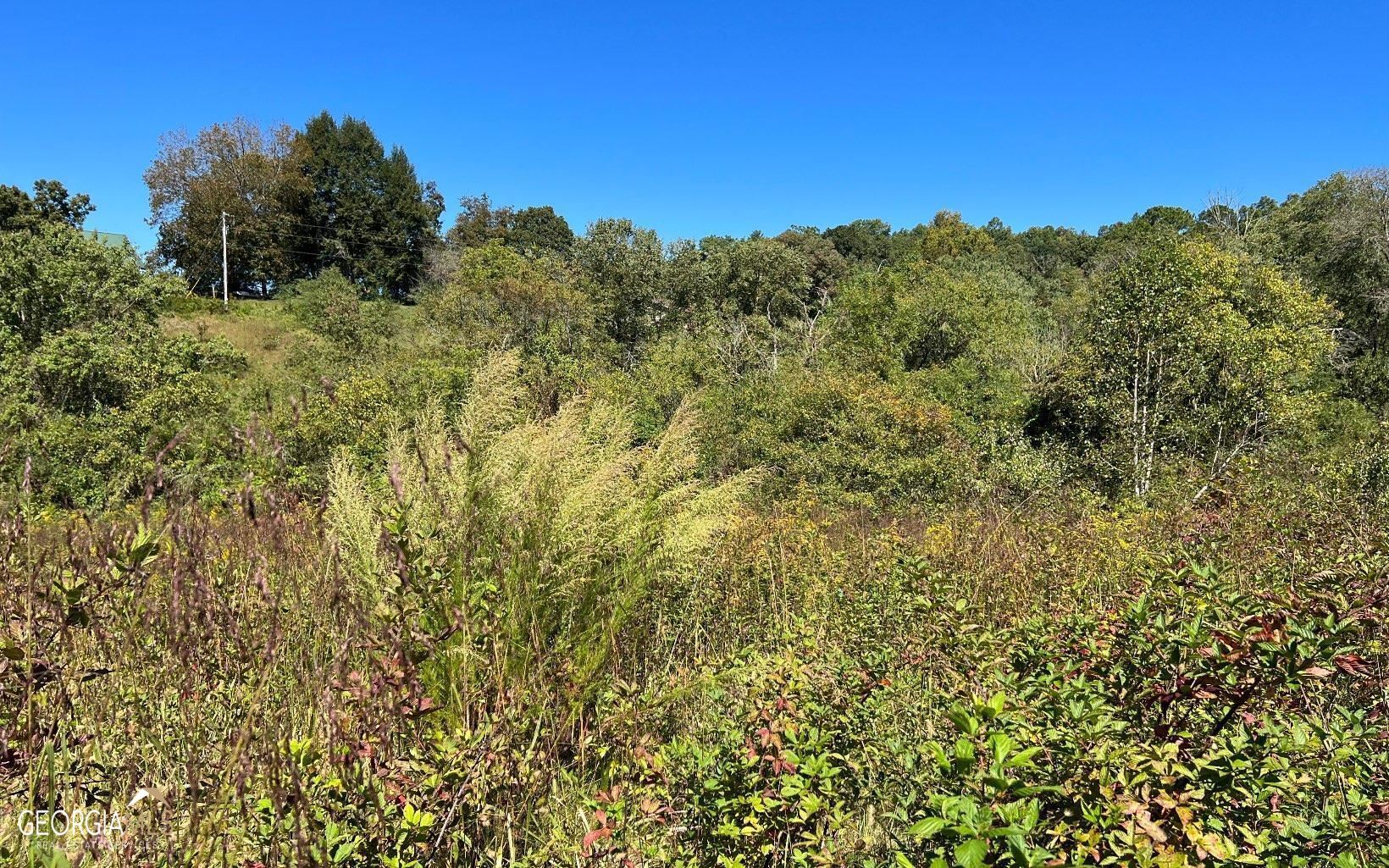 37+ Acres Jarrett Road Property Photo 28