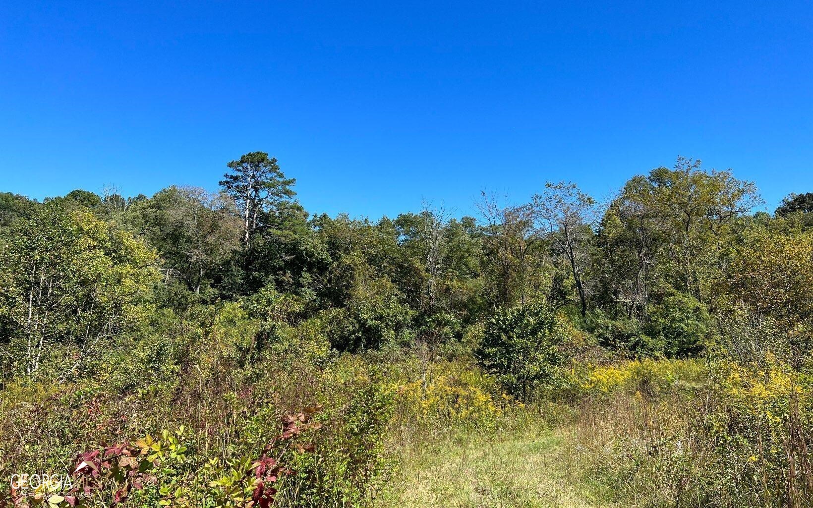 37+ Acres Jarrett Road Property Photo 29