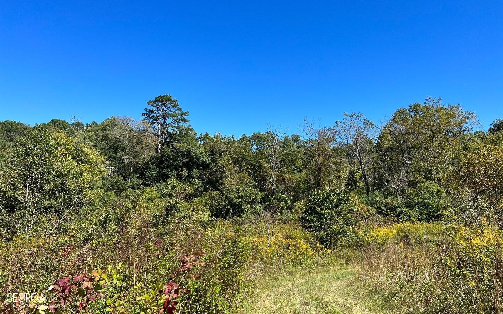 37+ Acres Jarrett Road Property Photo 30