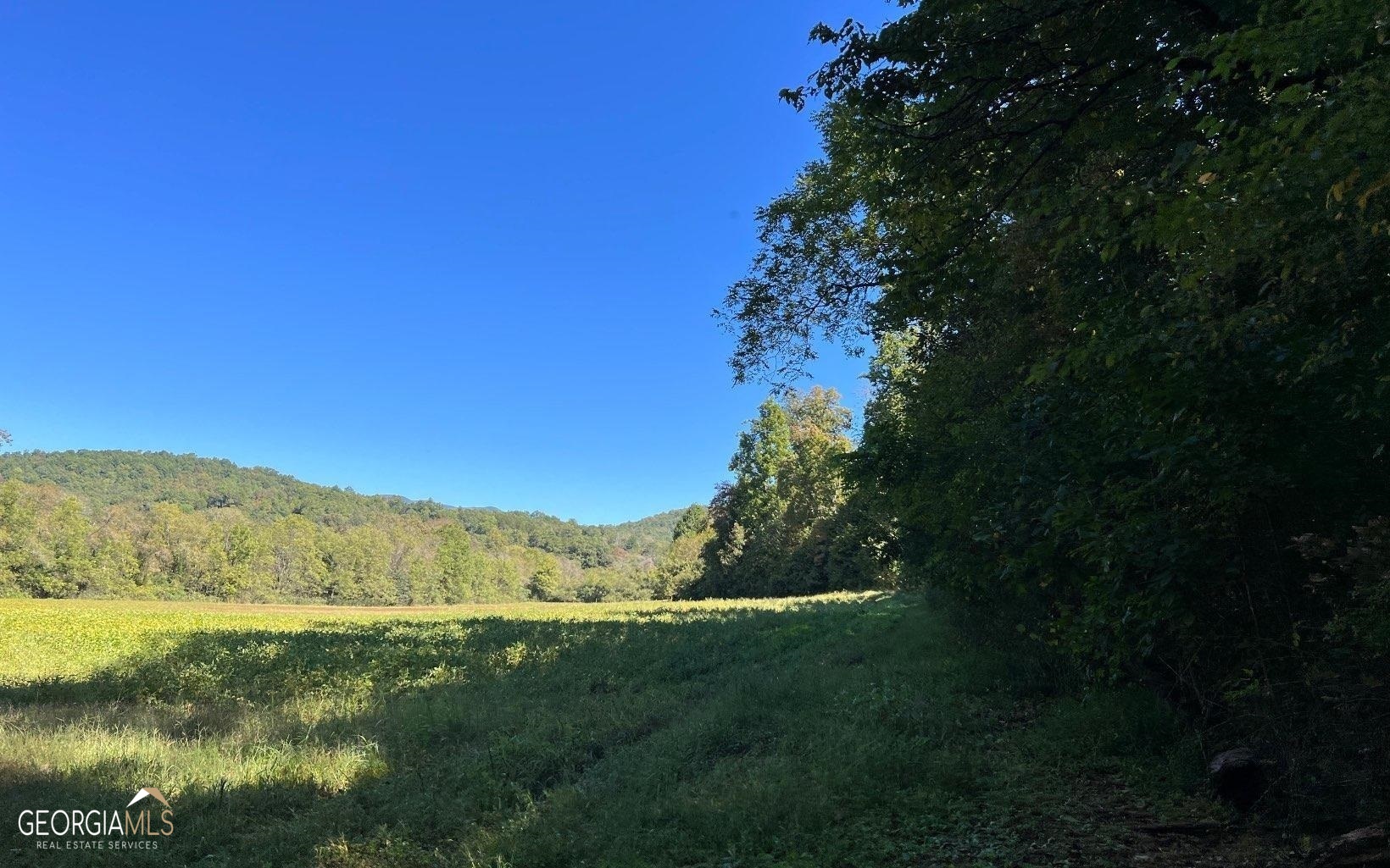 37+ Acres Jarrett Road Property Photo 34