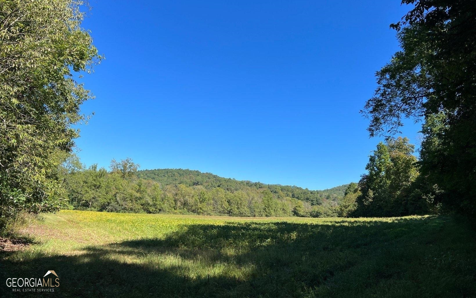 37+ Acres Jarrett Road Property Photo 35