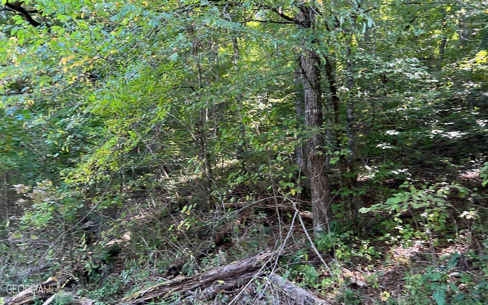 37+ Acres Jarrett Road Property Photo 37