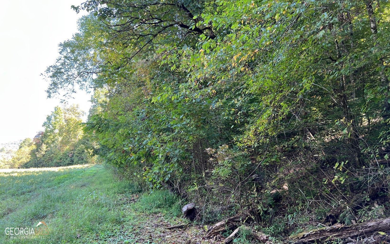 37+ Acres Jarrett Road Property Photo 38