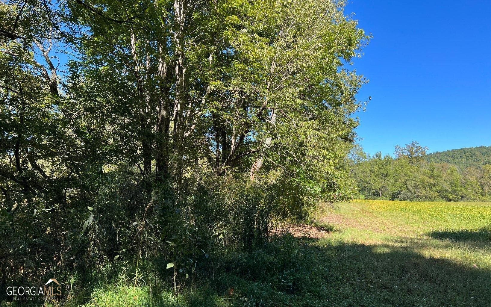 37+ Acres Jarrett Road Property Photo 39