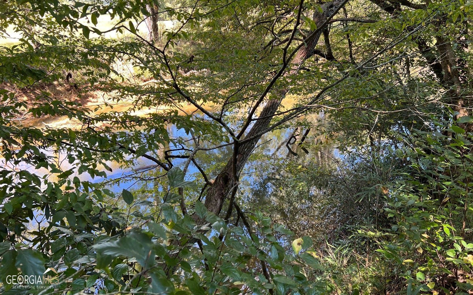 37+ Acres Jarrett Road Property Photo 40
