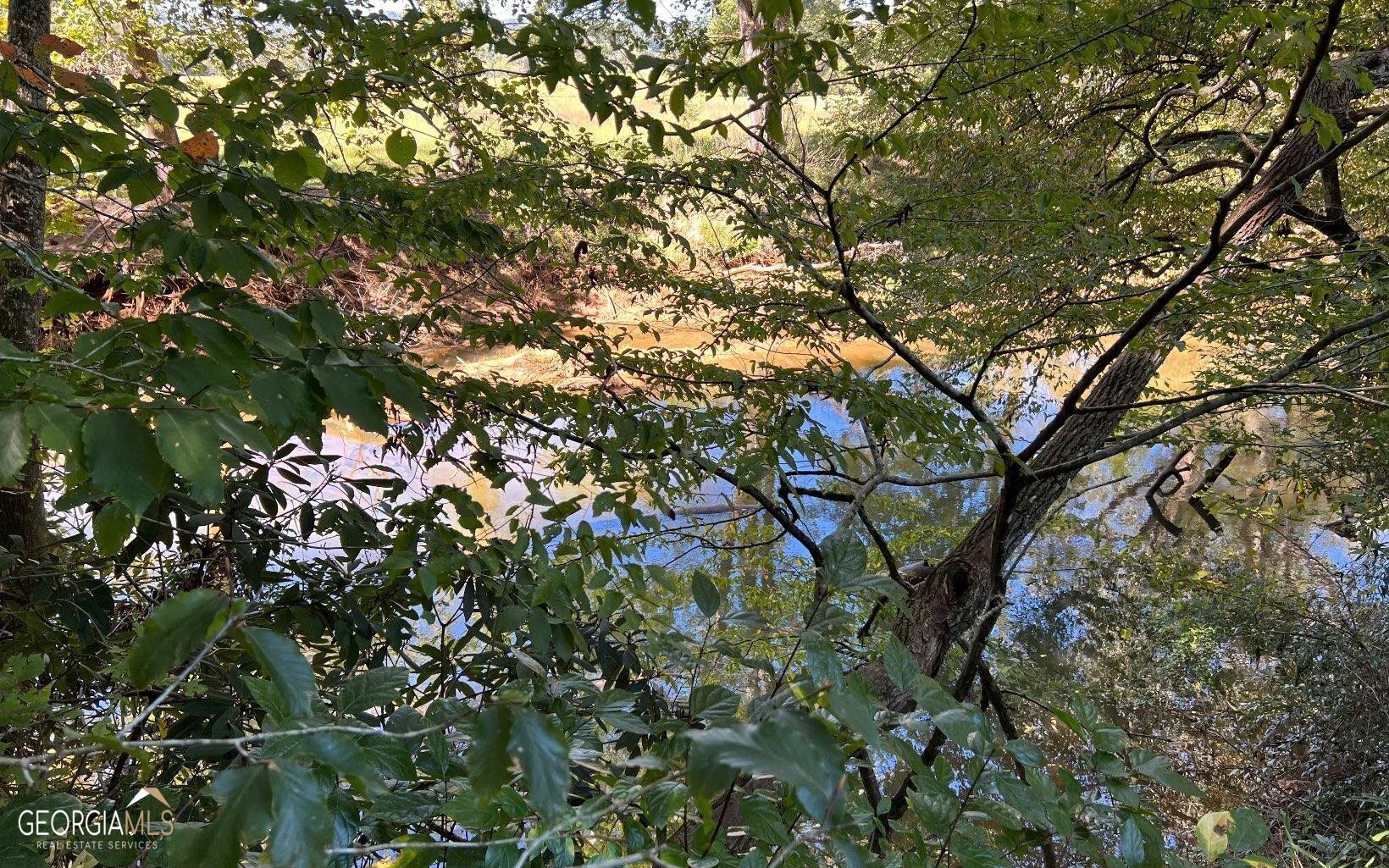 37+ Acres Jarrett Road Property Photo 41