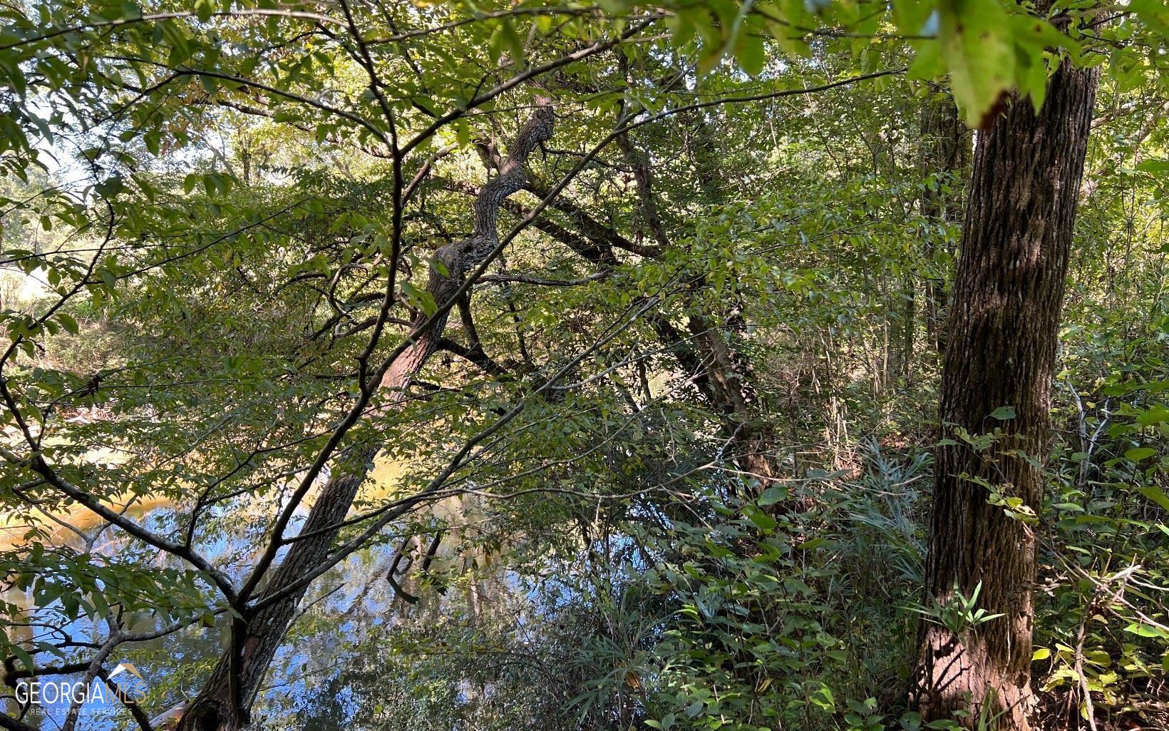 37+ Acres Jarrett Road Property Photo 42