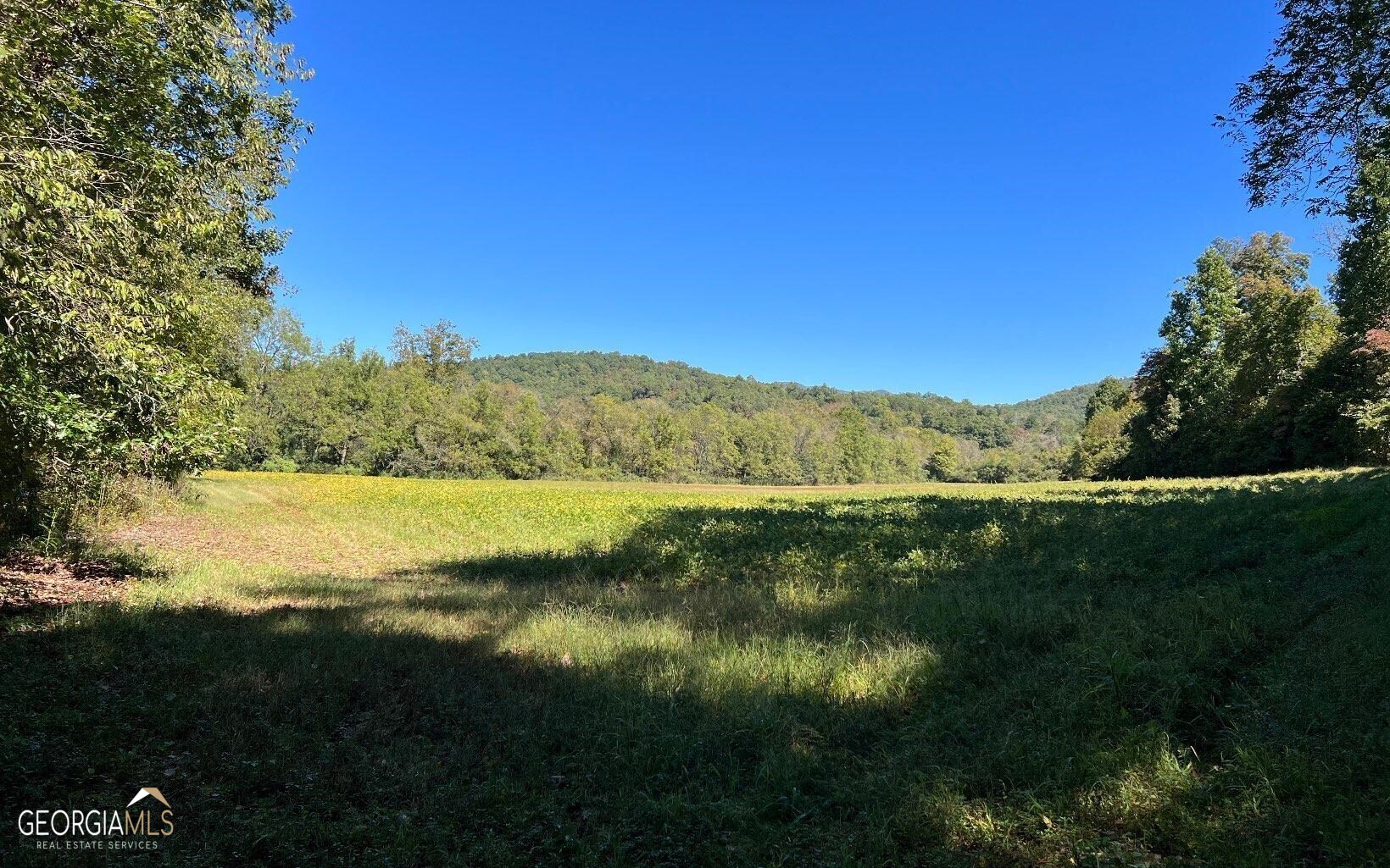 37+ Acres Jarrett Road Property Photo 43