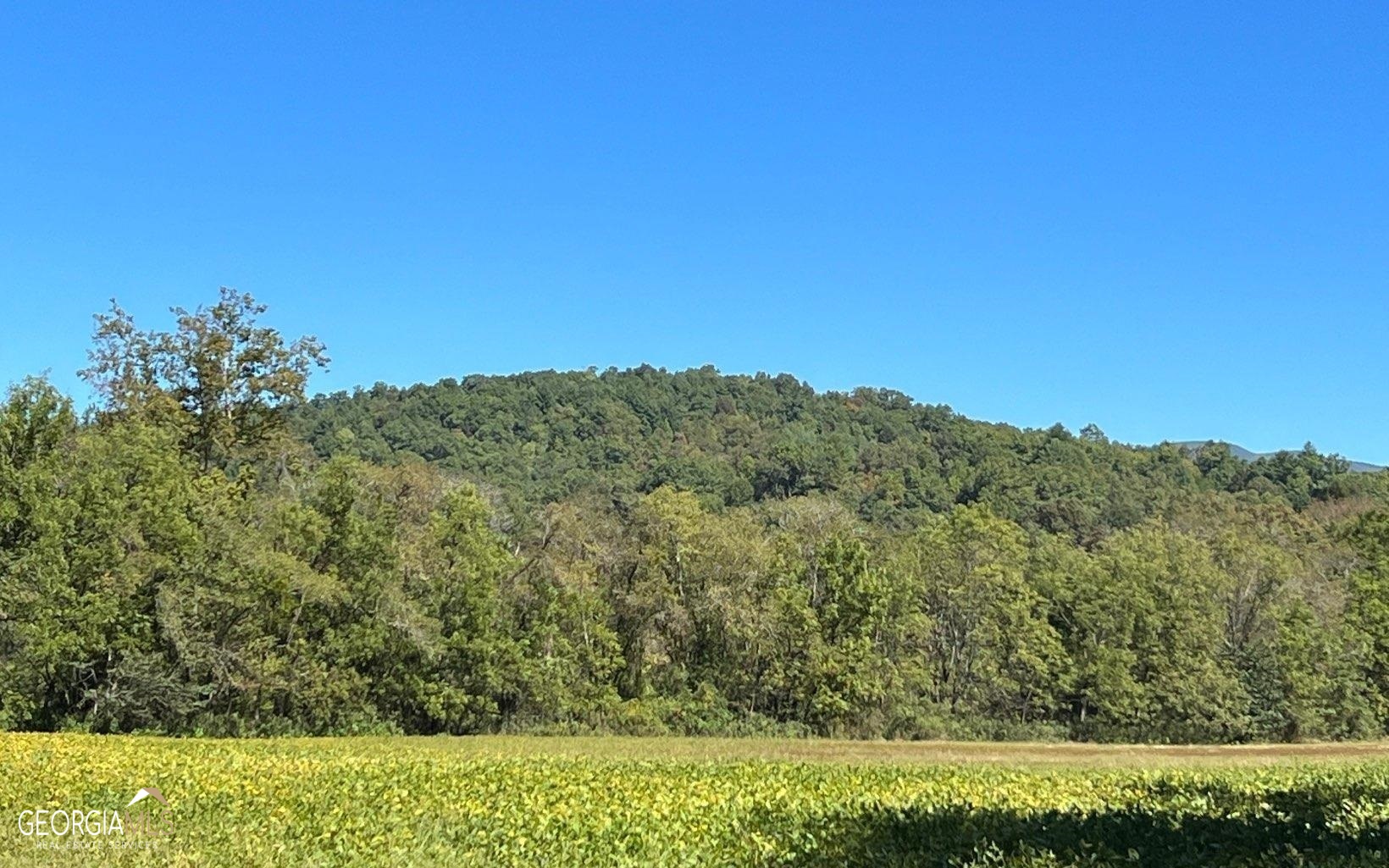 37+ Acres Jarrett Road Property Photo 44