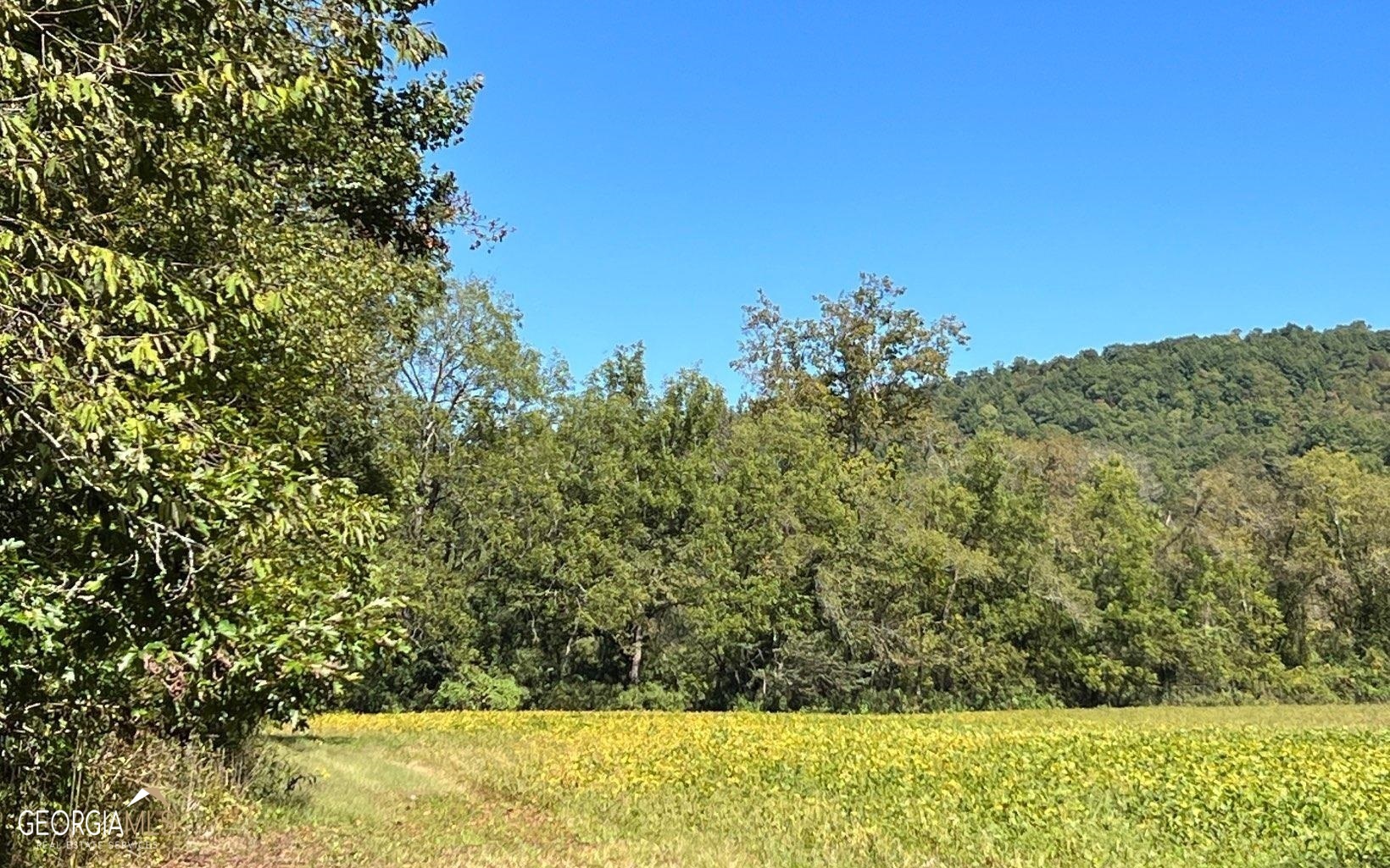 37+ Acres Jarrett Road Property Photo 45