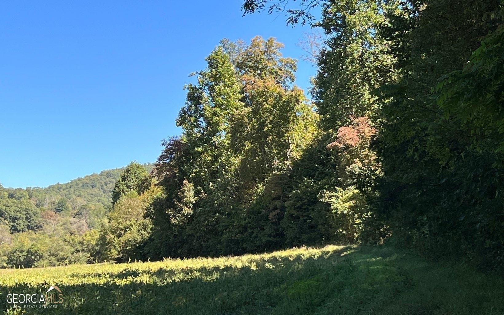 37+ Acres Jarrett Road Property Photo 46