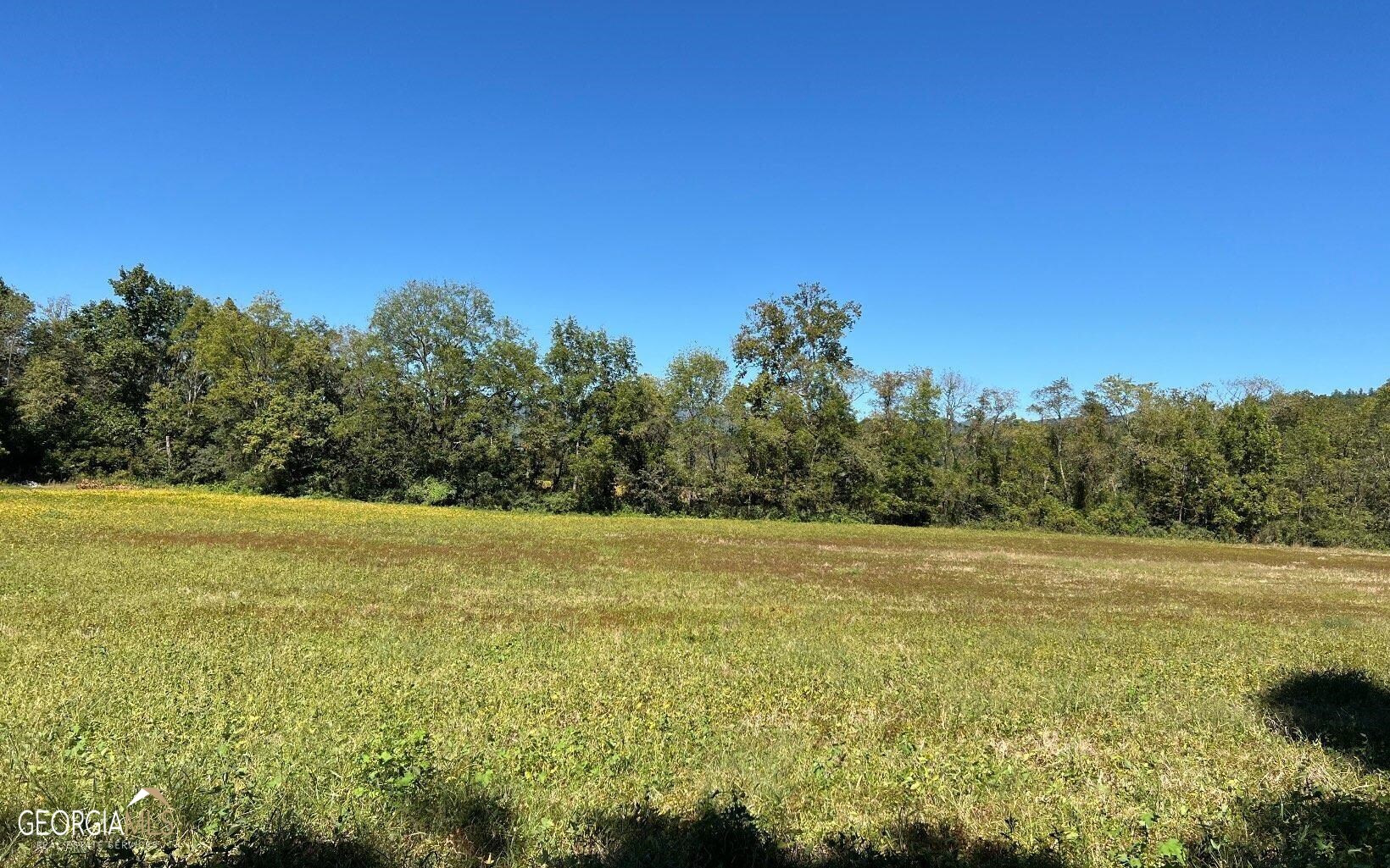 37+ Acres Jarrett Road Property Photo 47