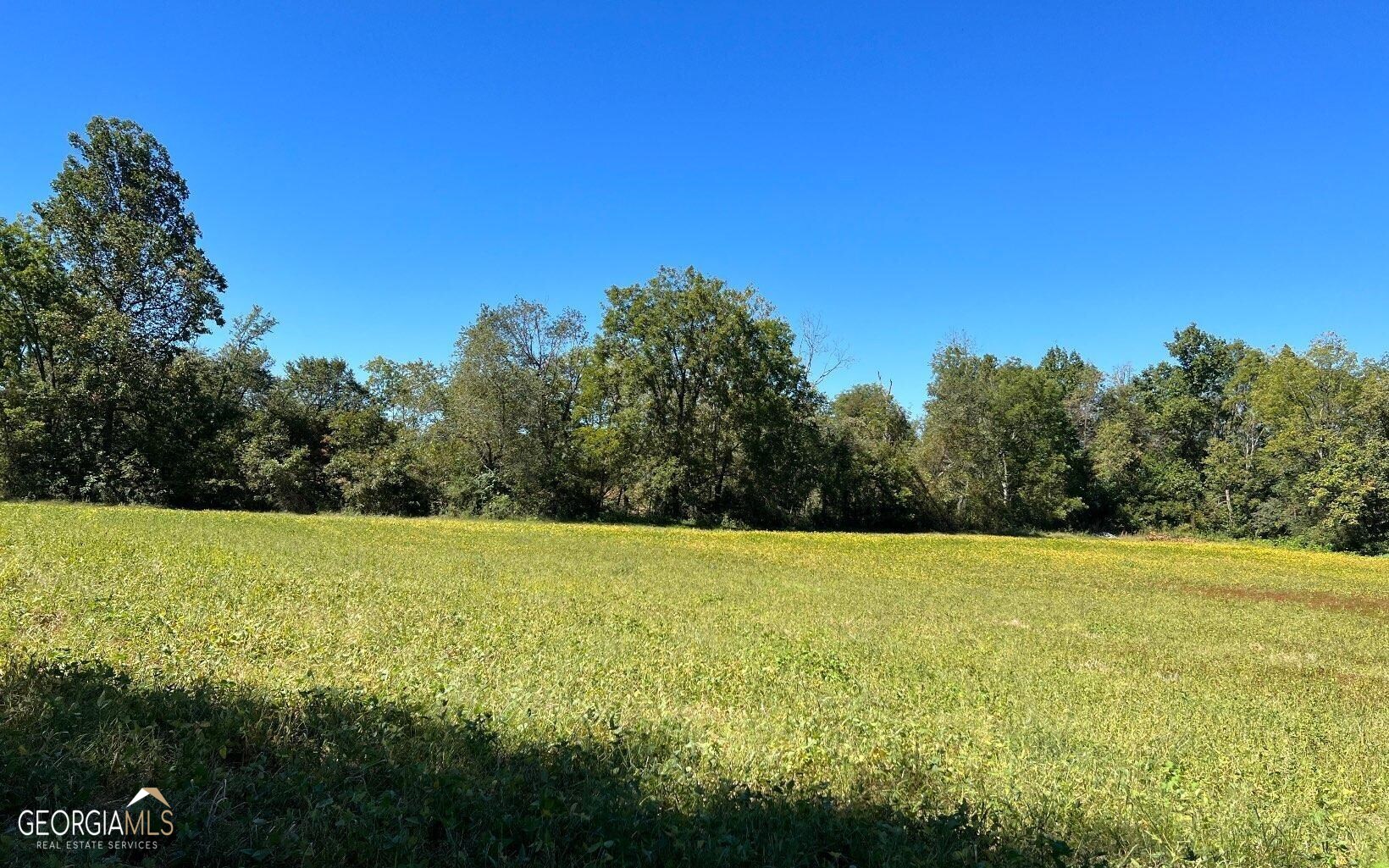 37+ Acres Jarrett Road Property Photo 48