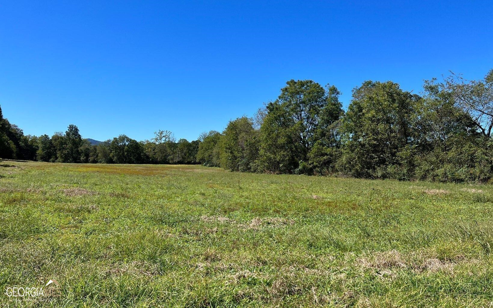 37+ Acres Jarrett Road Property Photo 49
