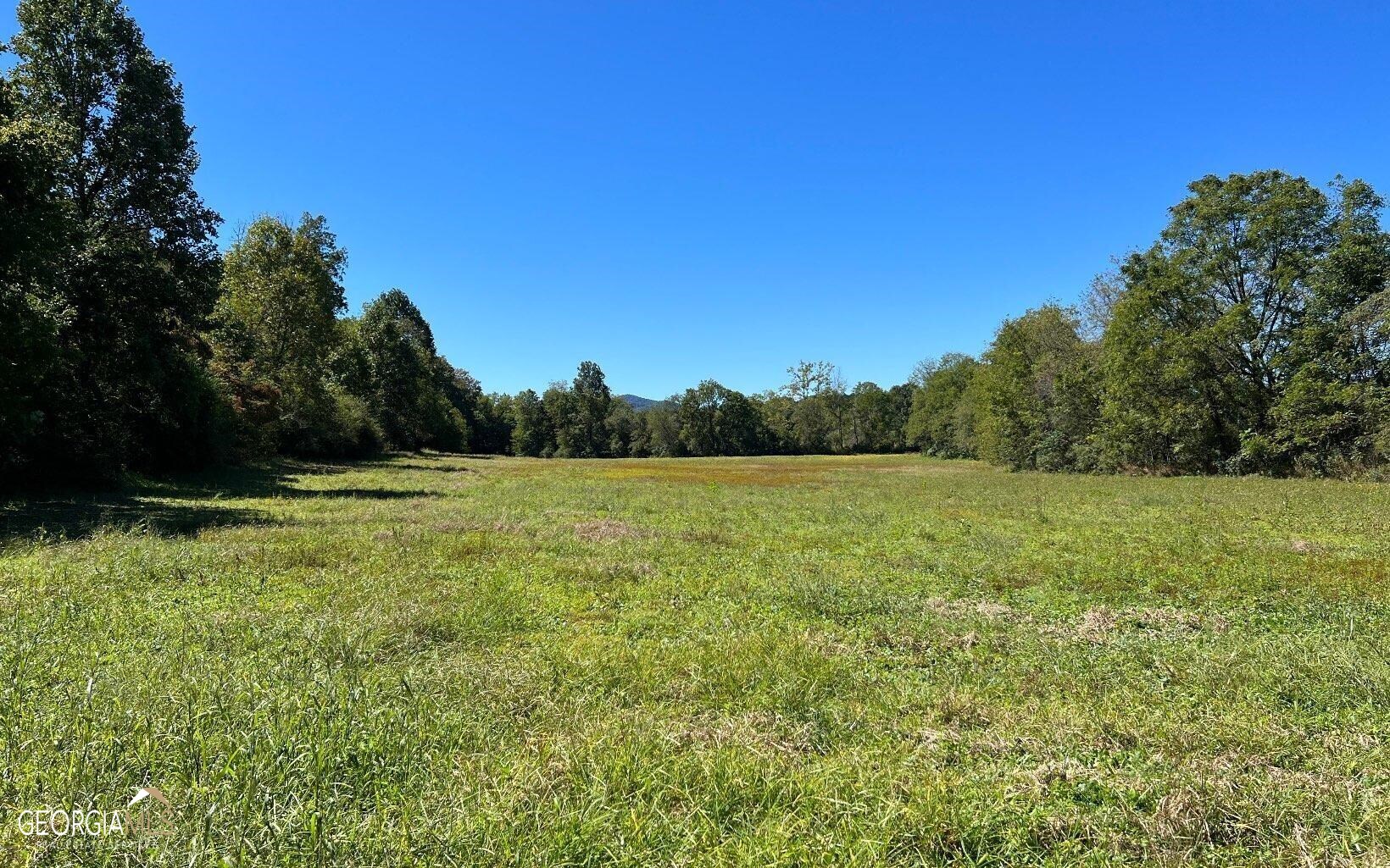 37+ Acres Jarrett Road Property Photo 50