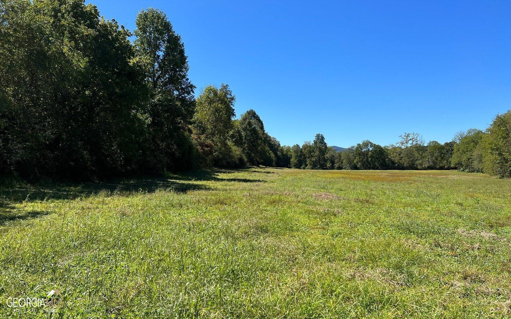 37+ Acres Jarrett Road Property Photo 51