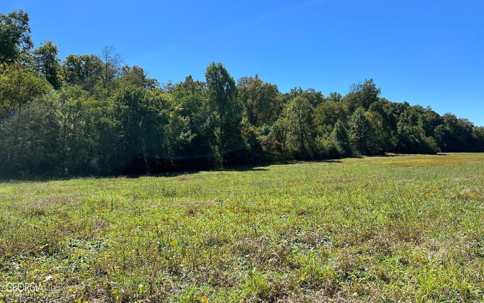 37+ Acres Jarrett Road Property Photo 52
